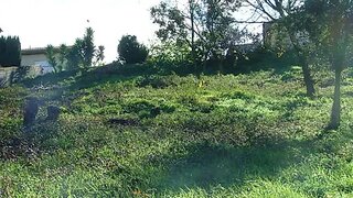 Terreno em Santo Tirso