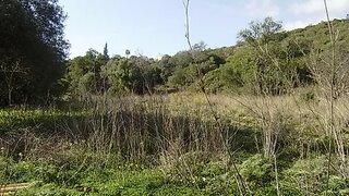 Land for sale in Loulé, Portugal — €57,000