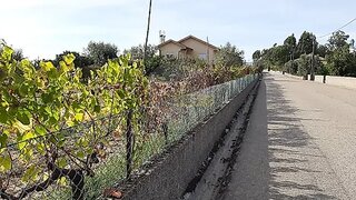 Land for sale in Santa Comba Dão, Portugal — €55,000