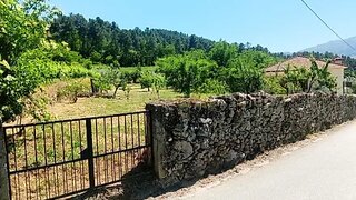 Terreno em Tarouca