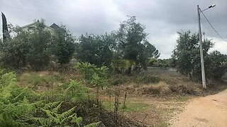 Terreno à venda em Coimbra