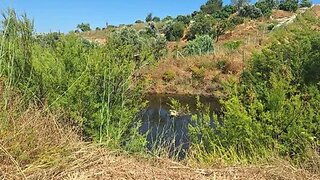 Land for sale in Lagoa, Portugal — €462,000