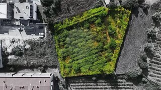 Terreno em Braga · 3000 m² · 291 500 €
