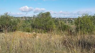 Land for sale in Silves, Portugal — €370,000