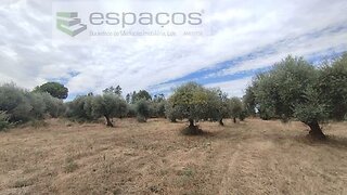 Land for sale in Penamacor, Portugal — €15,000