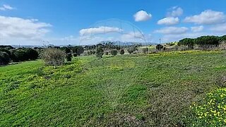 Land for sale in Azambuja, Portugal — €164,920