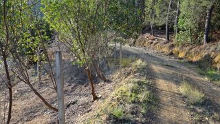 Land for sale in Oleiros, Portugal — €42,500