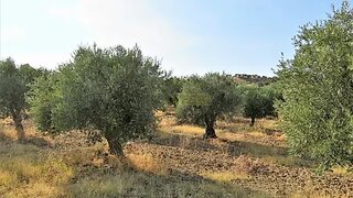 Land for sale in Alandroal, Portugal — €60,000