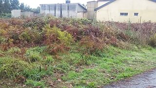 Land for sale in Águeda, Portugal — €42,000