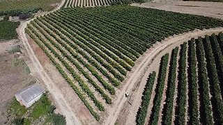 Land for sale in Torres Vedras, Portugal — €280,000