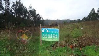Land for sale in Oliveira de Azeméis, Portugal — €23,000