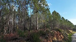 Terreno para venda em Pombal, Portugal — 12 500 €