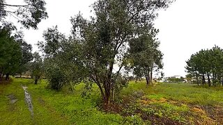 Land for sale in Vagos, Portugal — €40,000