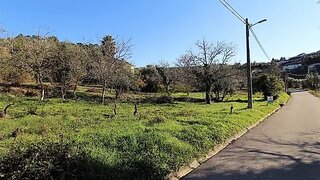 Land for sale in Condeixa-a-Nova, Portugal — €15,000