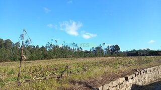 Land for sale in Barcelos, Portugal — €165,000