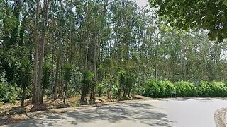 Land for sale in Águeda, Portugal — €28,000