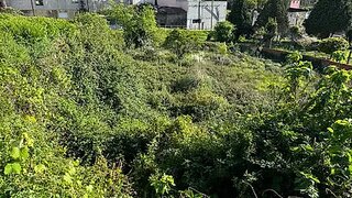 Land for sale in Vila Nova de Gaia, Portugal — €215,000