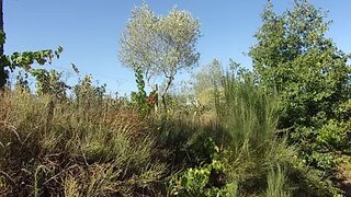 Land for sale in Viseu, Portugal — €85,000