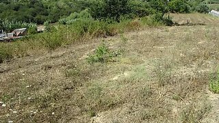 Land for sale in Soure, Portugal — €57,500