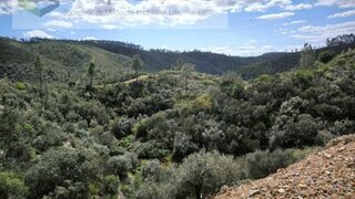 Land for sale in Castelo Branco, Portugal — €9,750