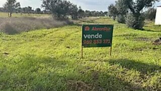 Land for sale in Abrantes, Portugal — €25,000