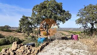 Land for sale in Castro Marim, Portugal — €49,900