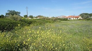 Land for sale in Alcobaça, Portugal — €119,000