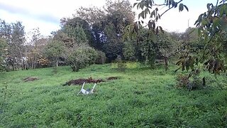 Land for sale in Maia, Portugal — €525,000
