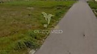 Land for sale in Ílhavo, Portugal — €82,500