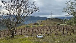Land for sale in São João da Pesqueira, Portugal — €132,500