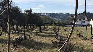 Land for sale in Abrantes, Portugal — €55,000
