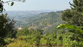 Land for sale in Cinfães, Portugal — €80,000