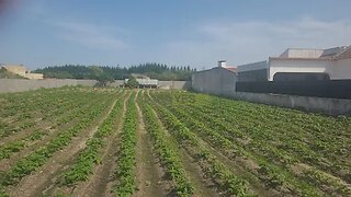 Land for sale in Salvaterra de Magos, Portugal — €100,000