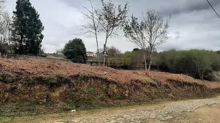 Land for sale in Oliveira de Azeméis, Portugal — €45,000