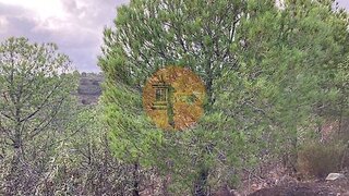 Land for sale in Castro Marim, Portugal — €75,000