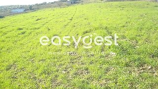 Land for sale in Vila Nova de Foz Côa, Portugal — €54,000