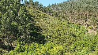 Land for sale in Vila de Rei, Portugal — €8,700