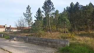 Land for sale in Estarreja, Portugal — €64,500