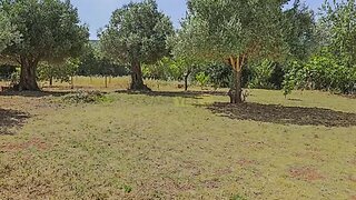 Land for sale in Loulé, Portugal — €145,000