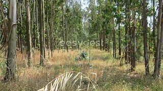 Land for sale in Lourinhã, Portugal — €25,000