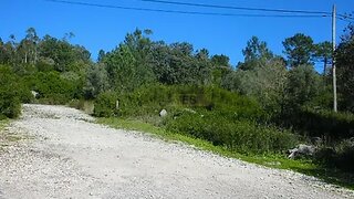 Land for sale in Porto de Mós, Portugal — €90,000