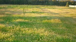 Land for sale in Salvaterra de Magos, Portugal — €104,000
