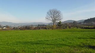 Terreno em Barcelos · 2200 m² · 60 000 €