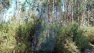 Land for sale in Águeda, Portugal — €25,000