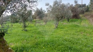 Land for sale in Abrantes, Portugal — €22,500