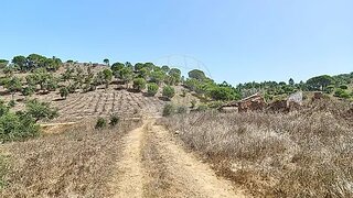 Land for sale in Santiago do Cacém, Portugal — €2,500,000
