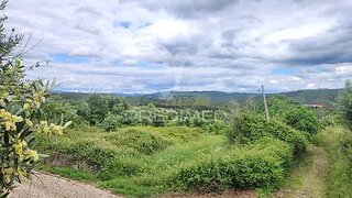 Land for sale in Alvaiázere, Portugal — €19,500