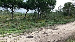 Land for sale in Sesimbra, Portugal — €107,000