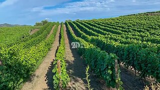 Land for sale in Tabuaço, Portugal — €700,000