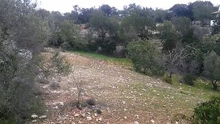 Land for sale in Loulé, Portugal — €17,000